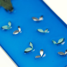 Resin